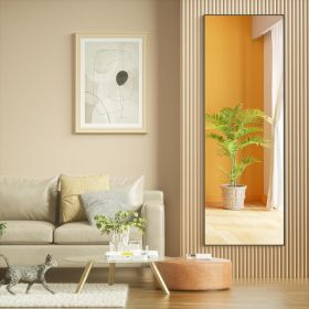 Door Mirror Full Length, 51 x 16 Inch Full Body Wall Mirror Over The Door Hanging Mirror for Bedroom, Living Room, Cloakroom